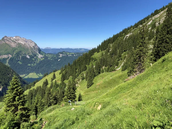 ワギタルまたはワギタルの谷と高山のワギタレルゼー ワギタレルゼー インナータール シュヴィーツ州 スイスの広州の谷の常緑または円錐の森 — ストック写真