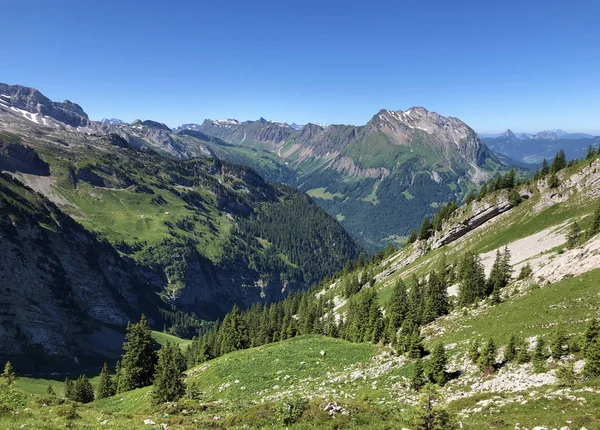 Groenblijvende Naaldbossen Vallei Van Wagital Waegital Door Alpen Meer Wagitalersee — Stockfoto