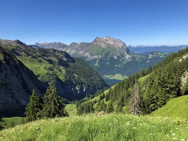 瓦吉塔尔或瓦吉塔尔山谷中的长绿或针叶林 以及瑞士施维茨州内塔塔尔 州的高山瓦吉塔勒湖 瓦吉塔勒湖 — 图库照片