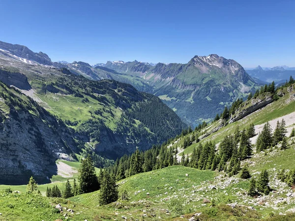 Forêts Persistantes Conifères Dans Vallée Wagital Waegital Près Lac Alpin — Photo