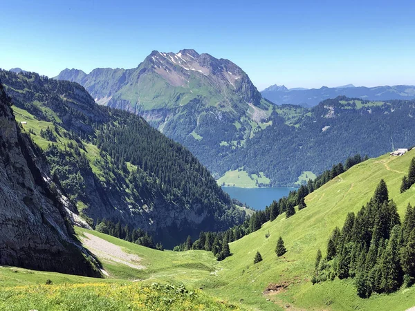 Вічнозелені Або Хвойні Ліси Долині Вагіталь Або Вагетал Альпійська Озеро — стокове фото