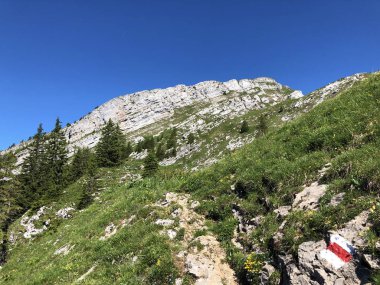 Wagital veya Waegital vadisinde ve Alpler'deki Wagitalersee Gölü'nde (Waegitalersee), Innerthal - Schwyz Kantonu, İsviçre'de yürüyüş ve yürüyüş parkurları