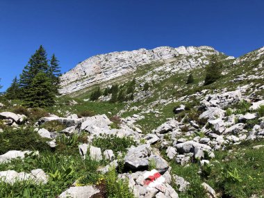 Wagital veya Waegital vadisinde ve Alpler'deki Wagitalersee Gölü'nde (Waegitalersee), Innerthal - Schwyz Kantonu, İsviçre'de yürüyüş ve yürüyüş parkurları