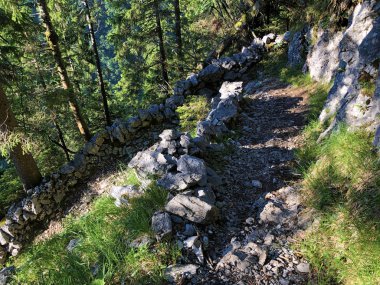 Wagital veya Waegital vadisinde ve Alpler'deki Wagitalersee Gölü'nde (Waegitalersee), Innerthal - Schwyz Kantonu, İsviçre'de yürüyüş ve yürüyüş parkurları