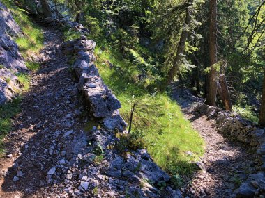 Wagital veya Waegital vadisinde ve Alpler'deki Wagitalersee Gölü'nde (Waegitalersee), Innerthal - Schwyz Kantonu, İsviçre'de yürüyüş ve yürüyüş parkurları