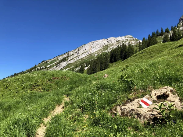 Wander Und Spazierwege Tal Von Wagital Oder Waegital Und Wagitalersee — Stockfoto