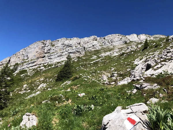 Trilhas Para Caminhadas Caminhadas Vale Wagital Waegital Junto Lago Alpino — Fotografia de Stock