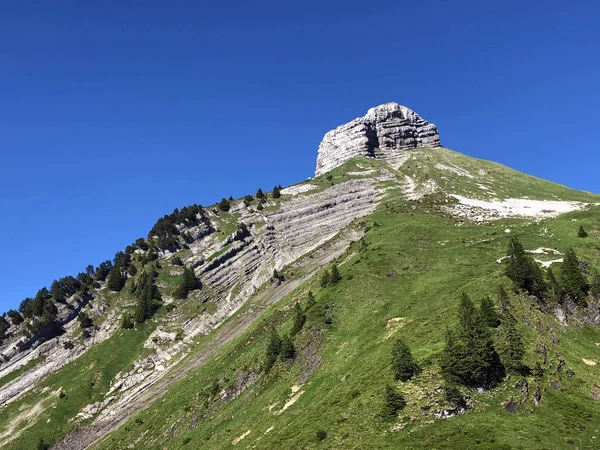 Zindlenspitz 계곡의 알프스의 Wagitalersee Waegitalersee Innerthal Canton Schwyz Switzerland — 스톡 사진