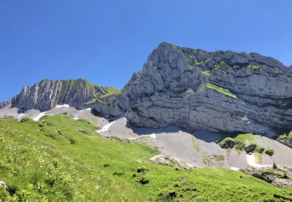 Brunnelistock Bruennelistock Rossalpelispitz Montagnes Dessus Vallée Wagital Lac Alpin Wagitalersee — Photo