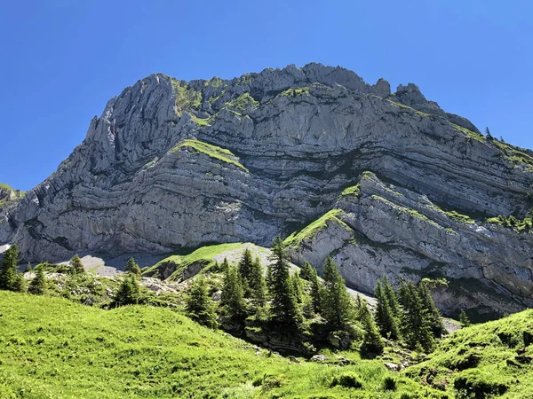 Rossalplispitz Nebo Rossaelplispitz Hora Nad Údolím Wagital Alpské Jezero Wagitalersee — Stock fotografie