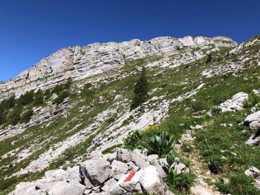 Wagital Vadisi 'nin yukarısındaki Schiberg Dağı ve Wagitalersee Gölü (Waegitalersee), Schwyz Kantonu, İsviçre