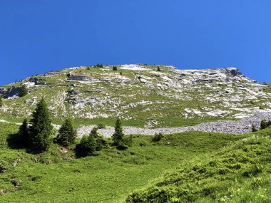 Wagital Vadisi 'nin yukarısındaki Schiberg Dağı ve Wagitalersee Gölü (Waegitalersee), Schwyz Kantonu, İsviçre