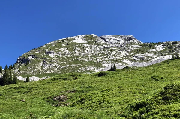 Schiberg Hegy Wagital Völgy Felett Wagitalersee Alpesi Waegitalersee Innerthal Schwyz — Stock Fotó