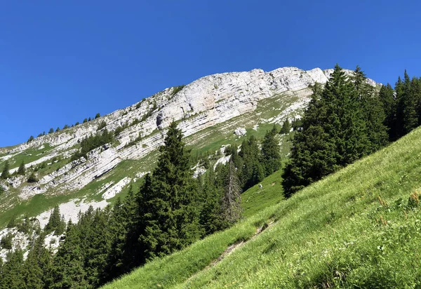 Schiberg Montaña Sobre Valle Wagital Lago Alpino Wagitalersee Waegitalersee Innerthal — Foto de Stock