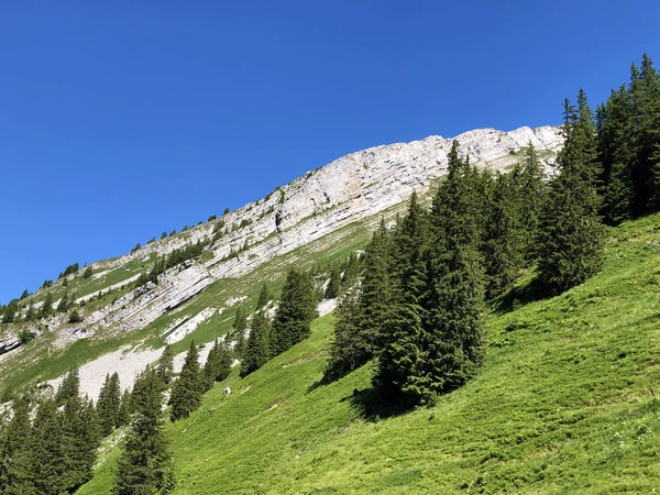 Montanha Schiberg Acima Vale Lago Wagital Alpino Wagitalersee Waegitalersee Innerthal — Fotografia de Stock