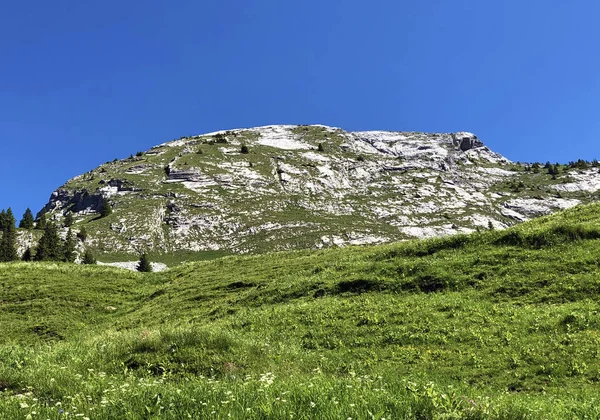 Montagne Schiberg Dessus Vallée Wagital Lac Alpin Wagitalersee Waegitalersee Innerthal — Photo