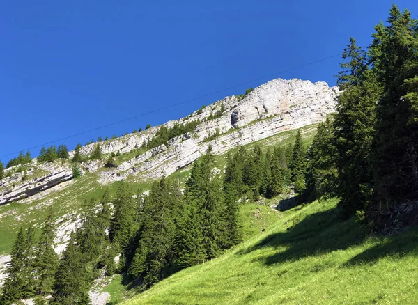 Schibergberg Boven Het Dal Wagitaal Alpiene Wagitalersee Waegitalersee Innerthal Kanton — Stockfoto