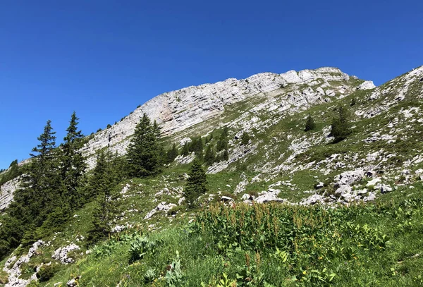 Schiberg Montaña Sobre Valle Wagital Lago Alpino Wagitalersee Waegitalersee Innerthal — Foto de Stock
