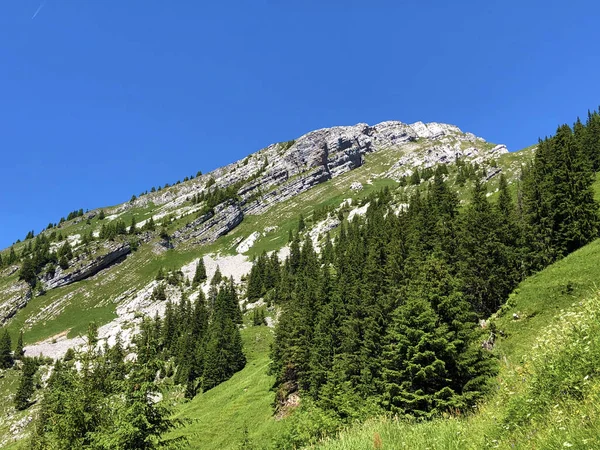 Schiberg Mountain Valley Wagital Alpine Lake Wagitalersee Waegitalersee Innerthal Canton — ストック写真