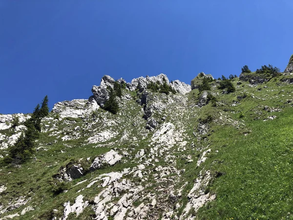 와기탈 Wagital 계곡과 와기탈 Waegalersee 와기탈르제 알프스 봉우리들의 이너탈 슈비츠 — 스톡 사진