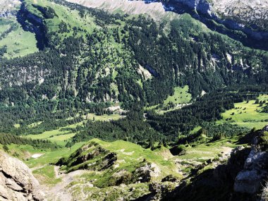 Güzel Alp Vadisi Oberseetal, Nafel (Nafel veya Naefel) - Glarus Kantonu, İsviçre