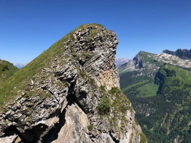 Alp dağı zirvesi Rossalpelispitz ya da Wagitalersee (Waegitalersee) Alp Gölü üzerinde Rossaelplispitz, İsviçre - Schwyz Kantonu