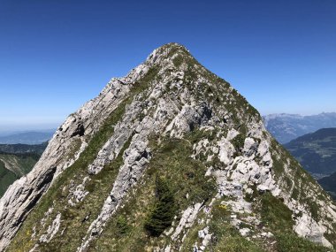 Alp dağı zirvesi Brunnelistock veya Wagitalersee (Waegitalersee), İsviçre - Schwyz Kantonu, İsviçre