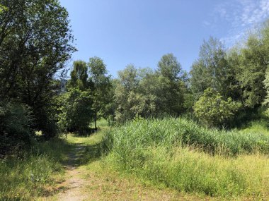 İsviçre 'nin Zürih veya Zuerich iş bölgesinde küçük bir kır vahası.