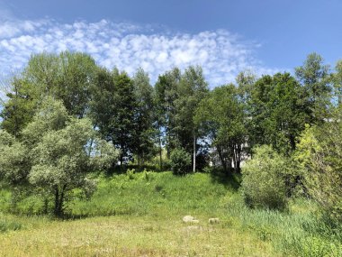 İsviçre 'nin Zürih veya Zuerich iş bölgesinde küçük bir kır vahası.