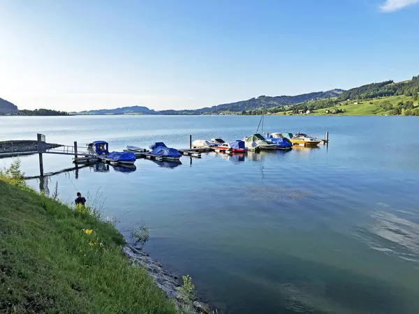 人工湖シルゼーまたはスタウゼー シールゼー グロス シュヴィーツ州 スイス — ストック写真