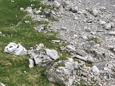 Wagital veya Waegital vadisi ve wagitalersee (Waegitalersee), Innerthal - Schwyz Kantonu, İsviçre üzerinde alp zirveleri Taşlar ve kayalar