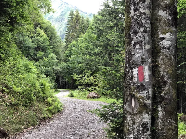Túra Gyalogtúraútvonalak Sihltal Völgyben Sihlsee Mesterséges Mellett Studen Schwyz Kanton — Stock Fotó