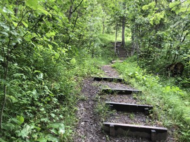 Sihltal Vadisi 'nde yürüyüş ve yürüyüş yolları ve yapay Sihlsee Gölü, Studen - Schwyz Kantonu, İsviçre