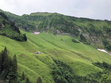 Sihltal Vadisi 'ndeki Alp çayırları ve otlakları ve Sihlsee Gölü, Studen - Schwyz Kantonu, İsviçre