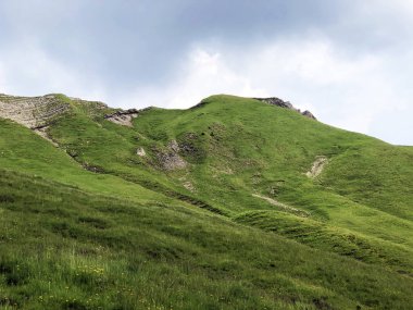 Sihltal Vadisi 'ndeki Alp çayırları ve otlakları ve Sihlsee Gölü, Studen - Schwyz Kantonu, İsviçre