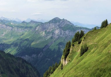 Sihltal Vadisi 'ndeki Alp çayırları ve otlakları ve Sihlsee Gölü, Studen - Schwyz Kantonu, İsviçre