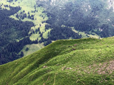 Sihltal Vadisi 'ndeki Alp çayırları ve otlakları ve Sihlsee Gölü, Studen - Schwyz Kantonu, İsviçre