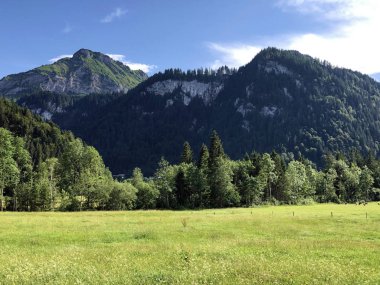 Sihltal Vadisi 'ndeki Alp çayırları ve otlakları ve Sihlsee Gölü, Studen - Schwyz Kantonu, İsviçre