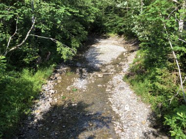 Wisstannenbach nehri Sihltal vadisinde ve Sihlsee Gölü üzerinde, Studen - Schwyz Kantonu, İsviçre