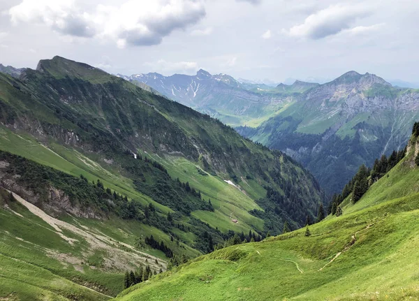 Alpské Pastviny Pastviny Údolí Sihltal Umělého Jezera Sihlsee Studen Kanton — Stock fotografie