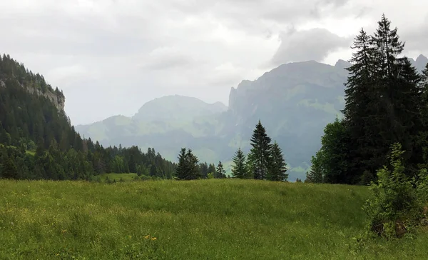 Alpejskie Pastwiska Użytki Zielone Dolinie Sihltal Nad Sztucznym Jeziorem Sihlsee — Zdjęcie stockowe