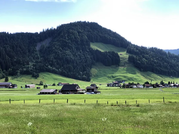 瑞士施维茨市Studen州Sihlsee人工湖边的Sihltal山谷高山草场和草地 — 图库照片