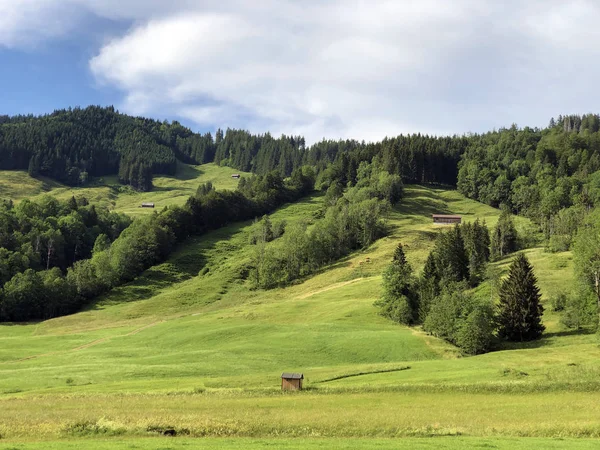 Alpské Pastviny Pastviny Údolí Sihltal Umělého Jezera Sihlsee Studen Kanton — Stock fotografie