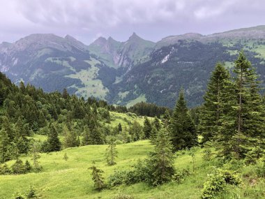 Sihltal Vadisi 'ndeki karışık orman ve ağaçlar ve Sihlsee Gölü, Studen - Schwyz Kantonu, İsviçre