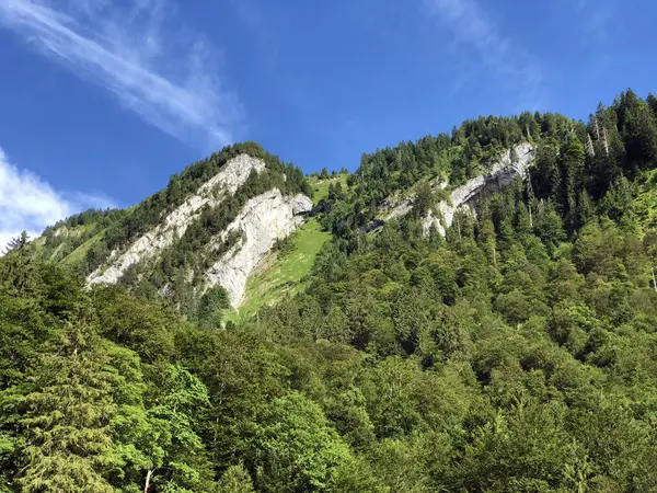 Smíšené Lesy Stromy Údolí Sihltal Umělého Jezera Sihlsee Studen Kanton — Stock fotografie