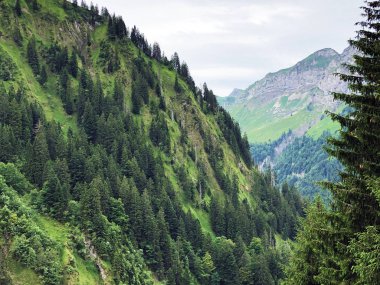 Sihltal vadisinde ve Sihlsee Gölü, Studen - Schwyz Kantonu, İsviçre