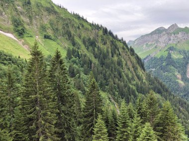 Sihltal vadisinde ve Sihlsee Gölü, Studen - Schwyz Kantonu, İsviçre