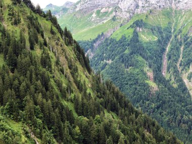Sihltal vadisinde ve Sihlsee Gölü, Studen - Schwyz Kantonu, İsviçre