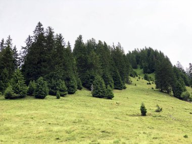 Sihltal vadisinde ve Sihlsee Gölü, Studen - Schwyz Kantonu, İsviçre