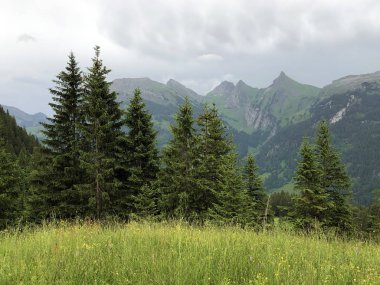 Sihltal vadisinde ve Sihlsee Gölü, Studen - Schwyz Kantonu, İsviçre